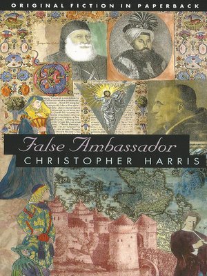 cover image of False Ambassador